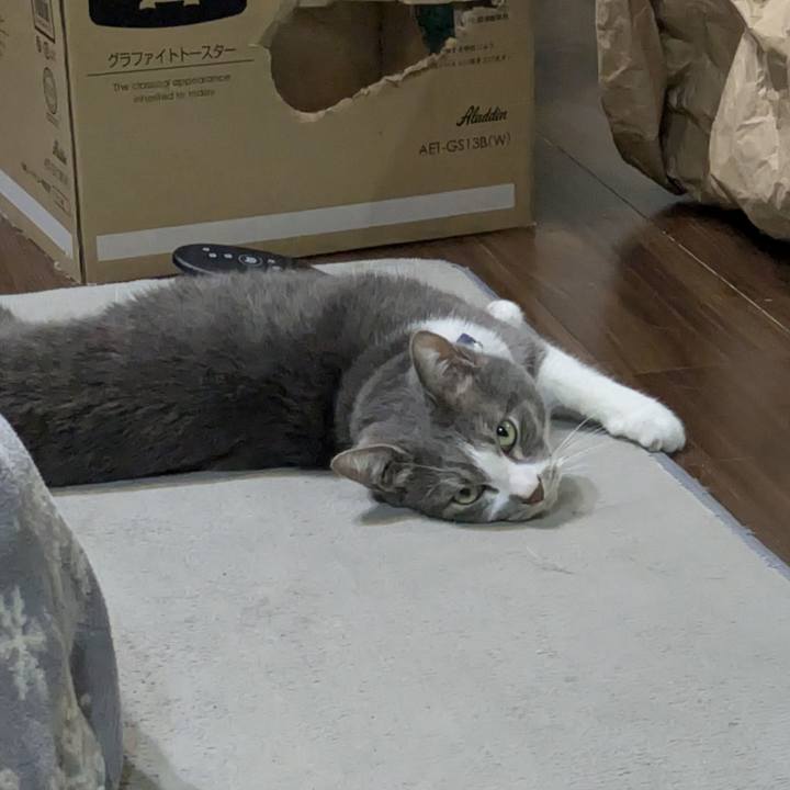 26237edb 7795 44ee abbd 1f8a3ab68dd0 1774964645740