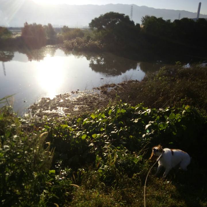 26238490 53f1 431a 89be 970c156a9800 1510576568576