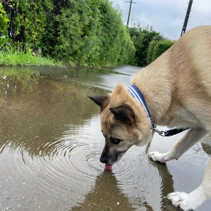 26238939 b31c 4026 801d ab2dd94b6e93 1660825560332