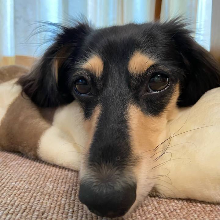 26239f41 70a3 4216 b90a 3d5ed06362ef 1694048897094