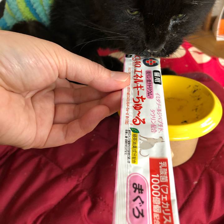 2623c5f1 2571 44b1 aea7 a0b5ae249a36 1647326209179