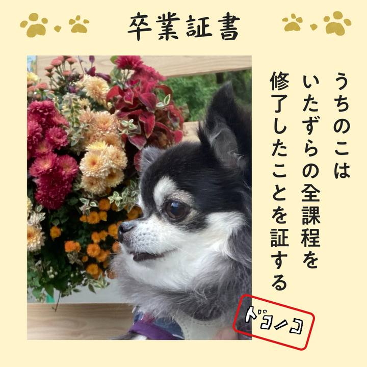 2624095e ad50 4143 9874 8f77609fdaea 1772275465731