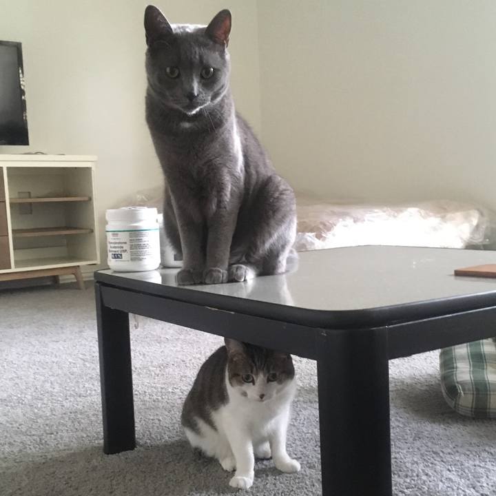 26242033 98e7 42a5 97d0 0c1f2e99a690 1651626036384