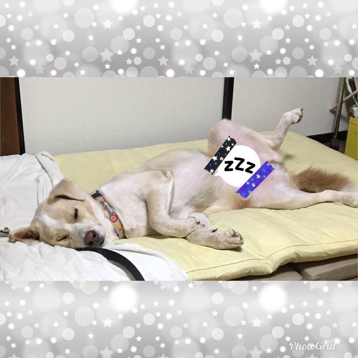 26247605 2c9b 4c86 8579 7d1ea69cf3e1 1541337290013