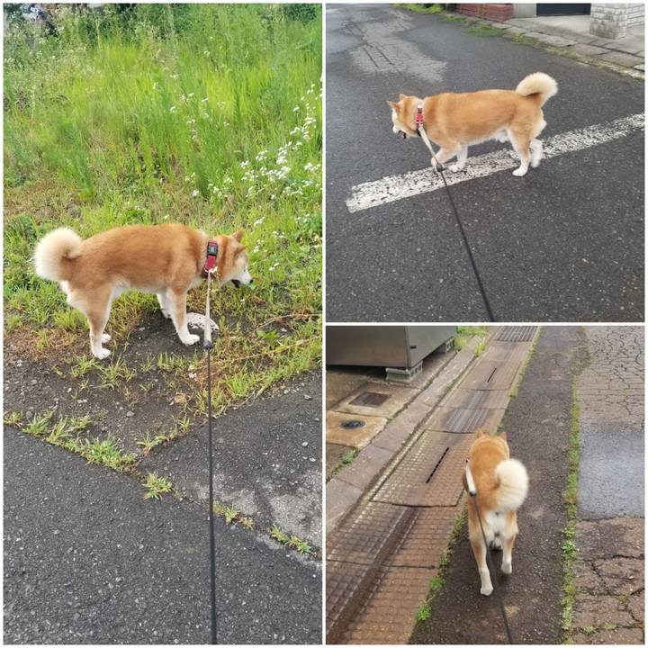 26248a49 49fc 4101 8373 26a5b7acfd19 1752569451056