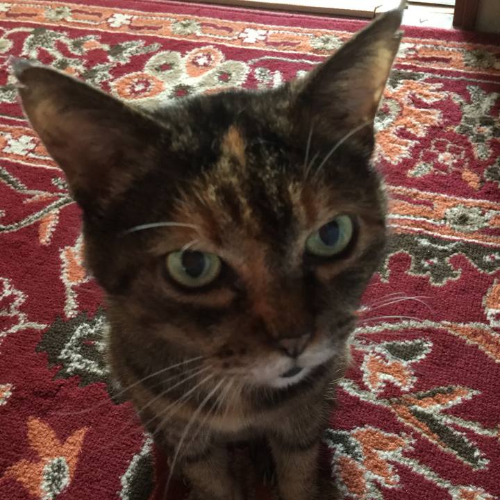 262493a5 4cc5 4bdd 8bc4 3e23e5372210 1569974747004