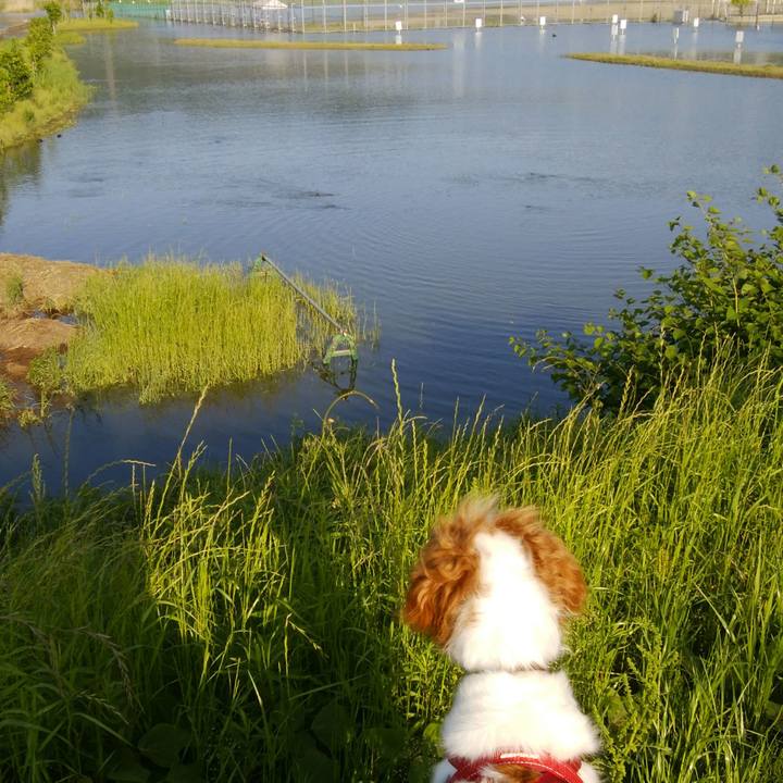 26249ff7 d2e7 4b1f bbbb 77d024e34580 1526300065143