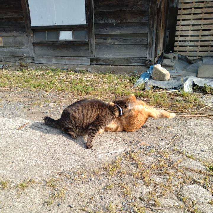 2624b6ca 2474 4c25 884a 00fe26bf7e16 1684624082710