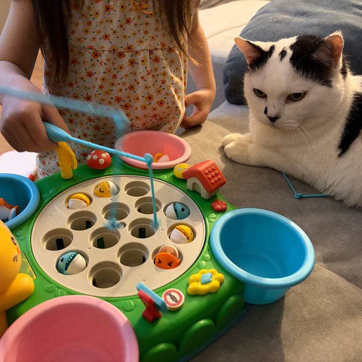 2624dd44 dffb 4e69 b64a 021c0013482f 1775393204881