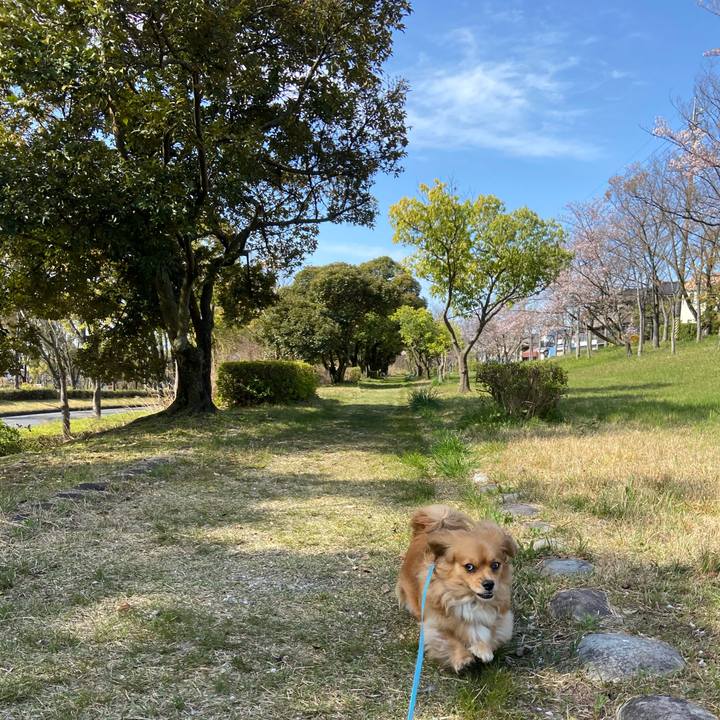 26251f17 9f51 4e13 9ca7 8e76ba4fd197 1586566228329