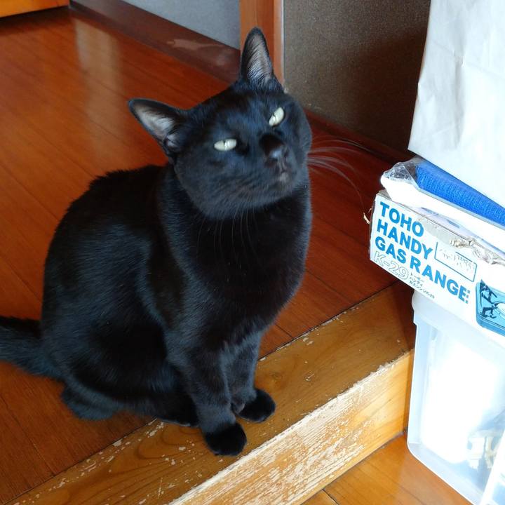 2625274b 5056 4250 a9b5 6b210164cfec 1635672863789