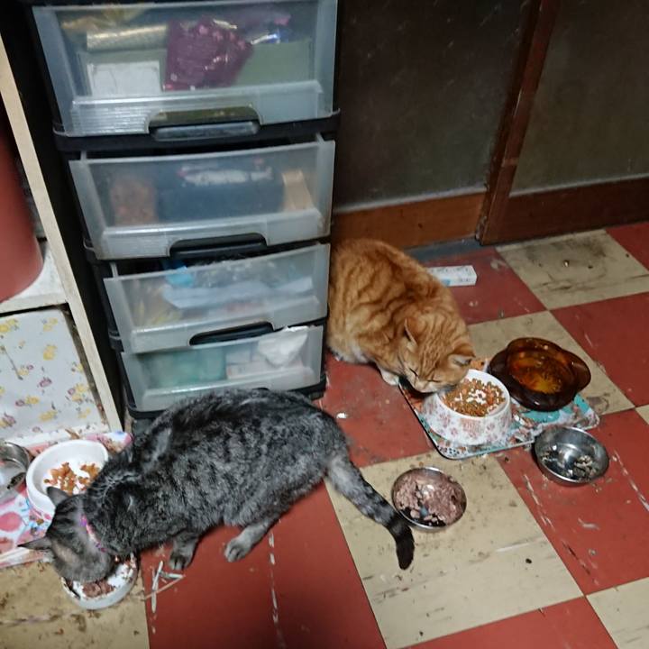 26252eff f6a8 4b35 b997 3a5f18720935 1581451891687