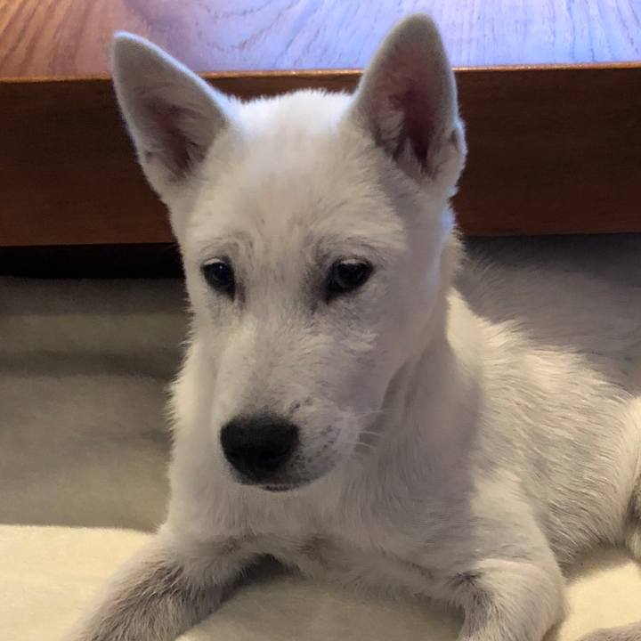 26254903 7473 4543 8b32 74e535a125c4 1517312279100