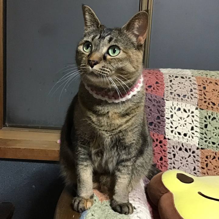 262592be 9f56 4ffc bcb8 852f550f382a 1714125562766