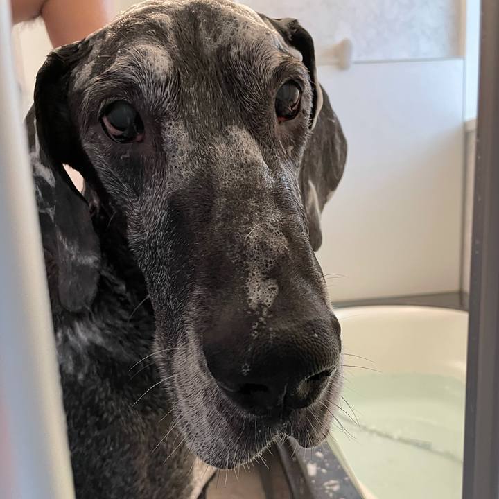 2625b5bc 0352 4ad2 9247 2c1e4fe6d53c 1615605276070