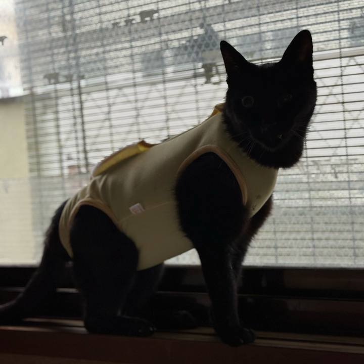 2625c636 b2a5 401d a31e 4d5754aa43fa 1719885923811