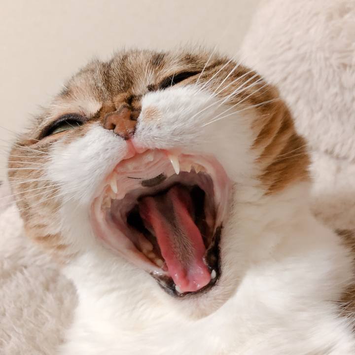 2625f4a0 118e 4fd1 a878 032d6f39887f 1576661771807