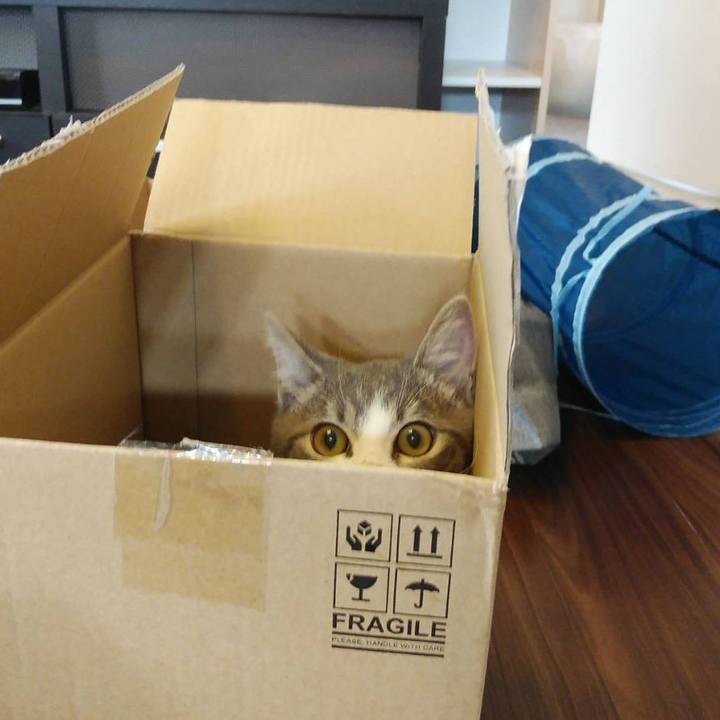 2625fb4c 3608 46ef b492 4b0529ef6b66 1567994656453