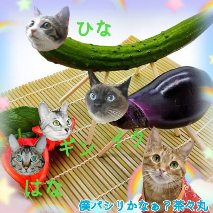 26261860 f141 41bc b3ba be466f9927ed 1660387162397