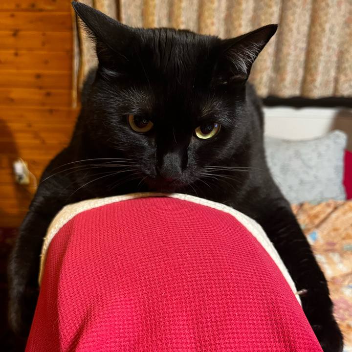 26261d34 0f5b 46e9 a16d 032e469aabad 1723900956804