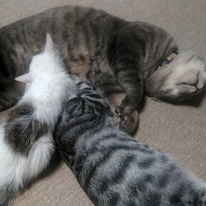 26262969 5be0 4a8a ac60 26c37dc620d7 1696416047618