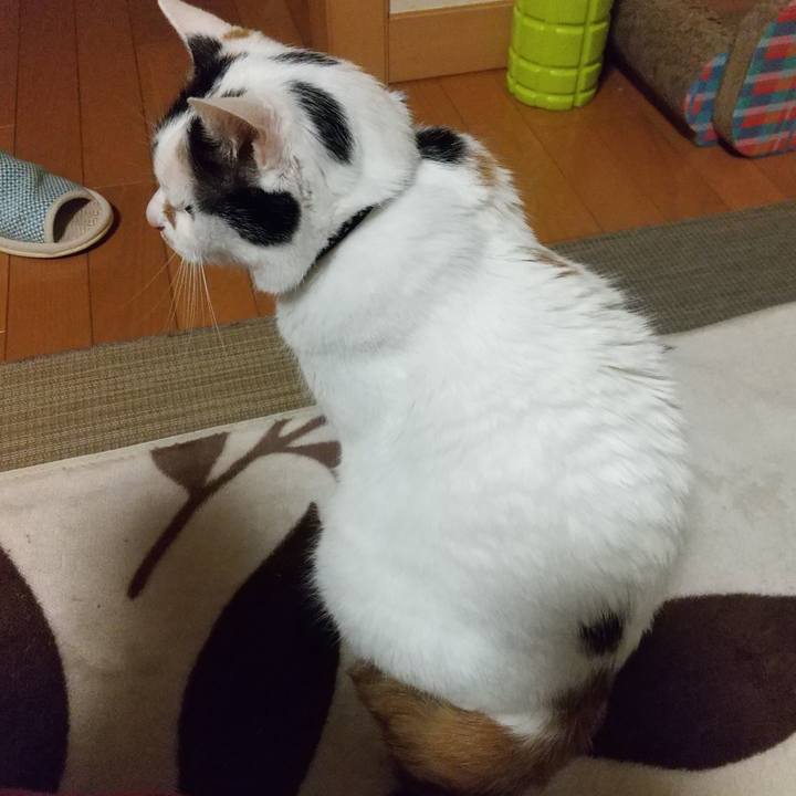 26263dcf 5adf 4adb ad55 cb22d53fa001 1589373775129