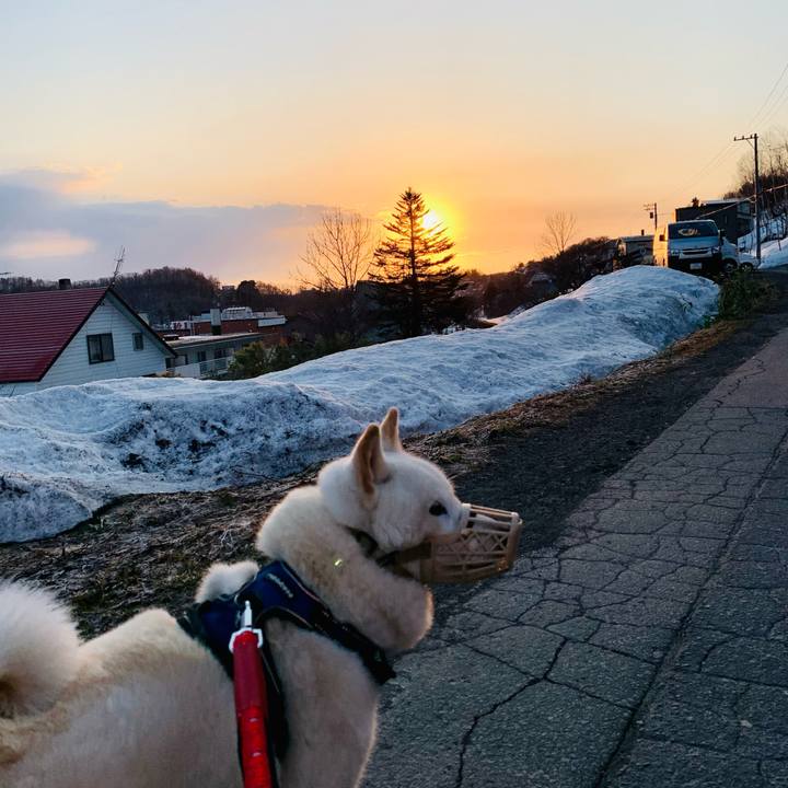 262646c1 c2c6 486e 98ae 797cc6f79bdd 1649282101163