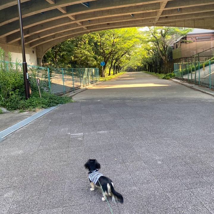 26265c29 e684 426c b2aa ef5cbfcb16ea 1751163477730