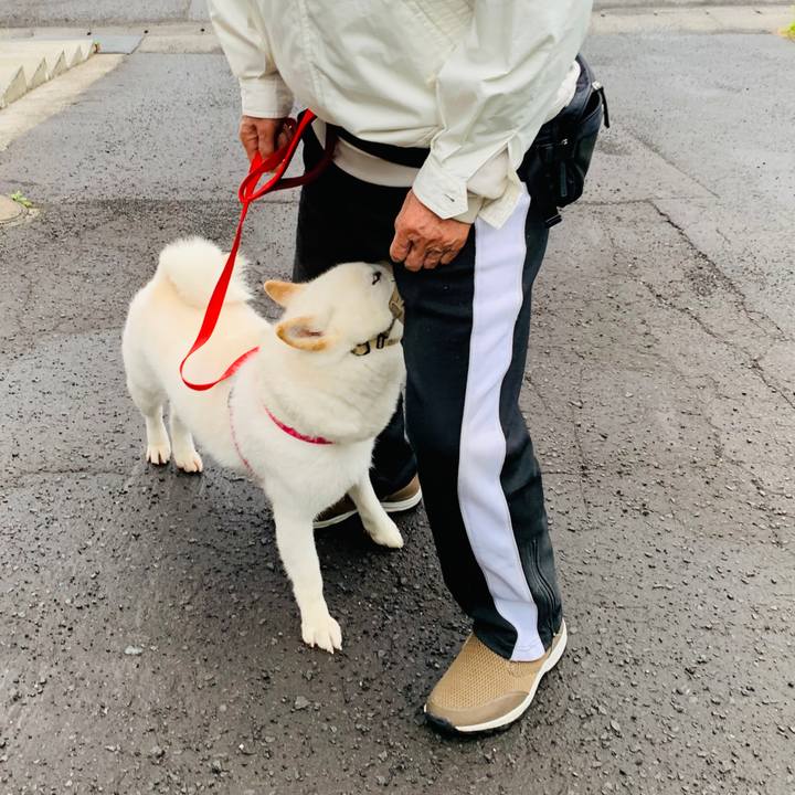 2626fae8 50dc 46b8 bb01 7c59adf813ca 1593038858859