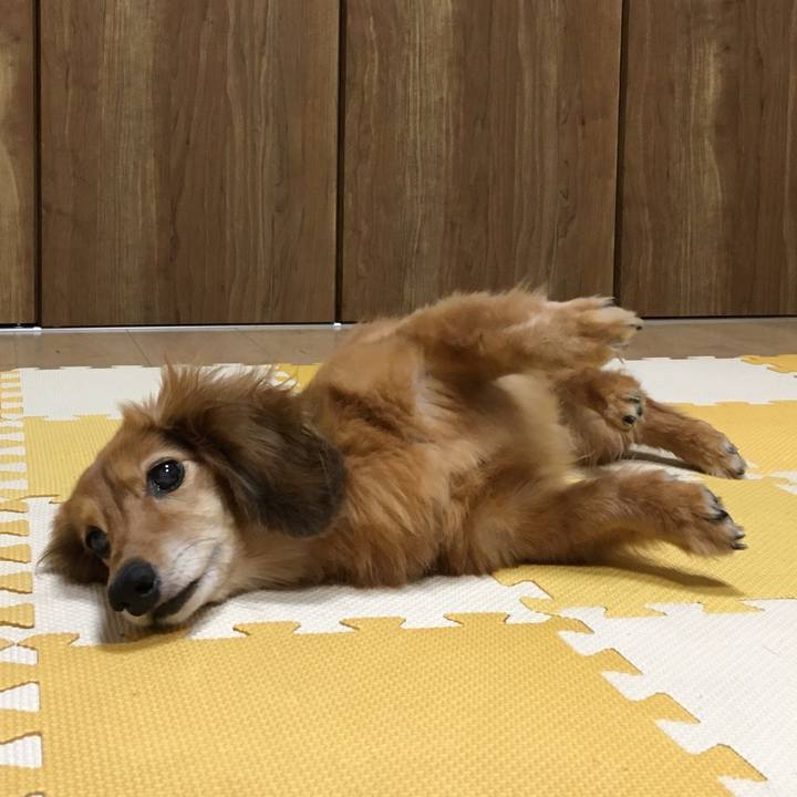 2627398b 17ca 42a6 973d 1cc51a6a7338 1623676791990