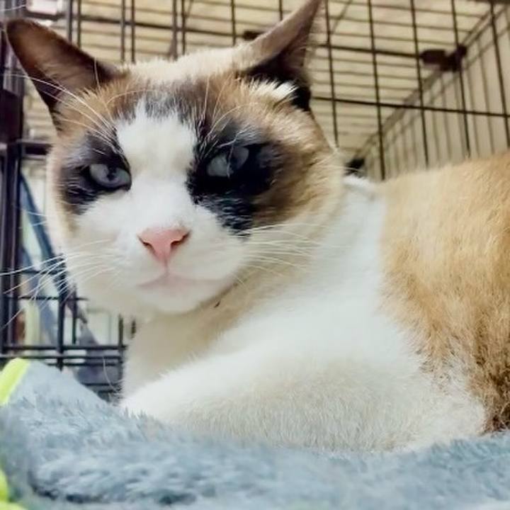 2627451d f6f4 44b1 9dea 16885b64ddad 1774789834239