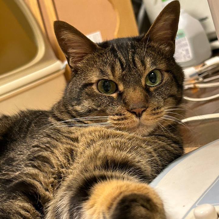 26276d17 e689 42d3 a442 d912b4bbe6b8 1688039766804