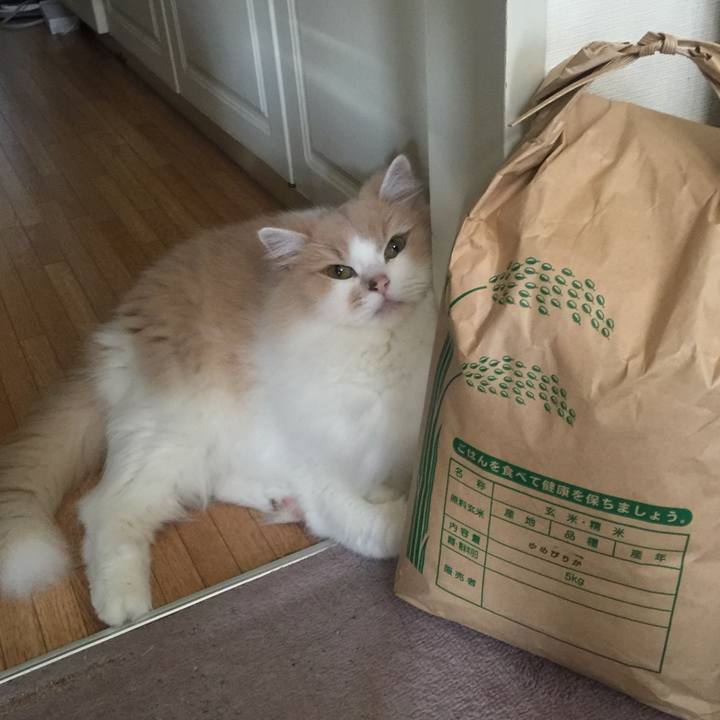 2627732f 8f65 4ac1 aef3 a4c87bc6fc77 1541129264691