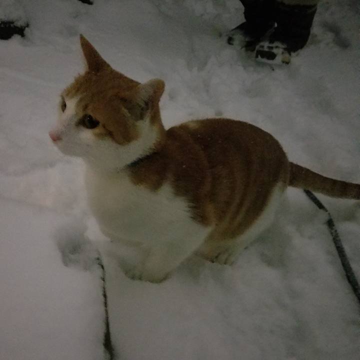 2627aee1 f691 48a6 9072 2628c3011b40 1516618733623