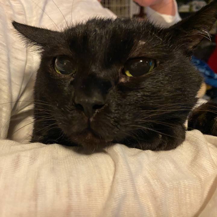 2627aee5 0aeb 4fcc 80a5 617b5557c783 1607986410866