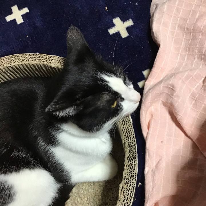 2627e6e0 f026 4035 a369 3c68a06f1f48 1715589892518