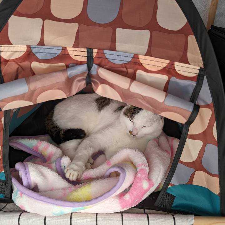 26287a90 15d3 4897 ac8e 213e68a9733e 1714276118545