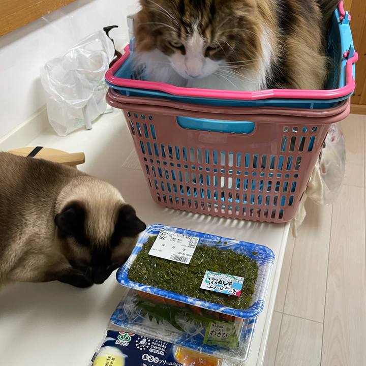 2628ace5 da8e 4b49 932d 9f94f9f9d11e 1748082100517