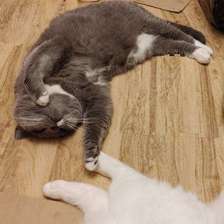 2628b66e cbba 49d1 9e33 553417beea60 1623332450926