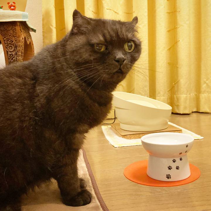 2628b89a 0771 467b 90f1 bbe12335867d 1603468050619