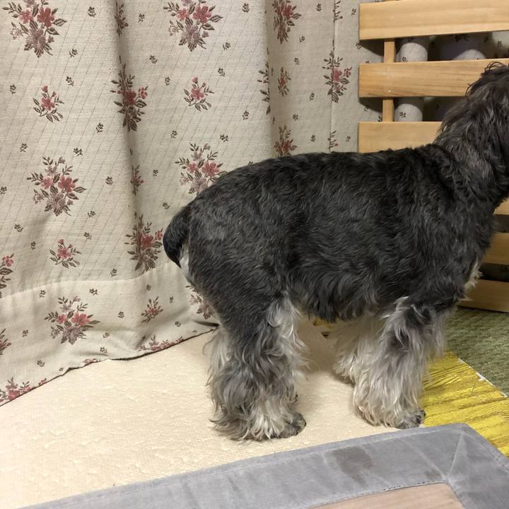 2628ba76 265a 429f 9b5a 62cfa0925ded 1645237182342