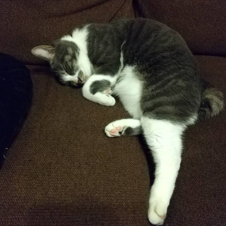 2628bd6f 2650 43d4 88f3 8f9b6e28ee1b 1608371346816