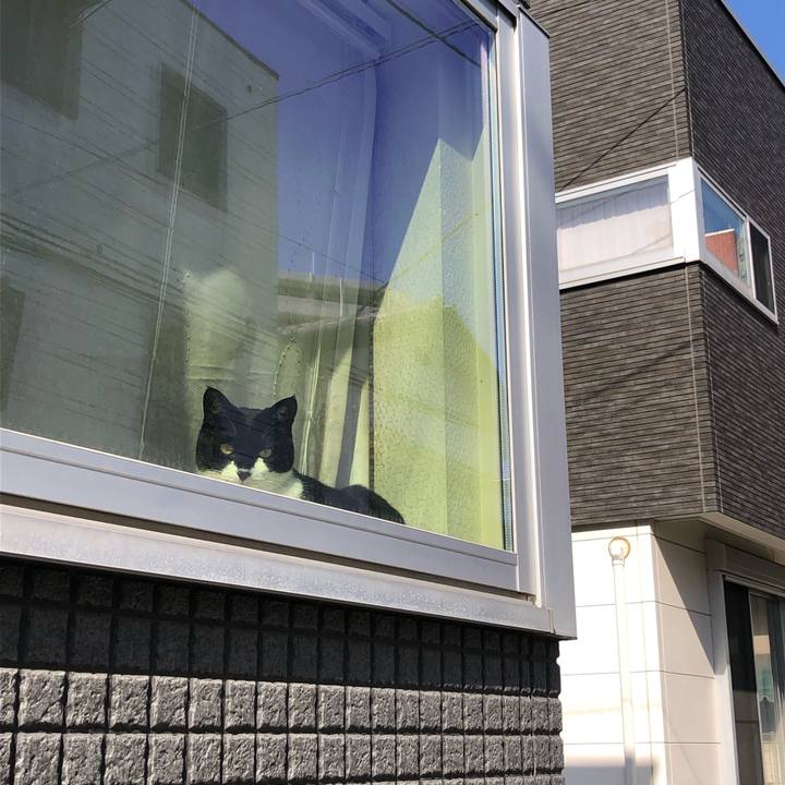 26291645 4555 4757 bccd fbca787767a2 1649604552442