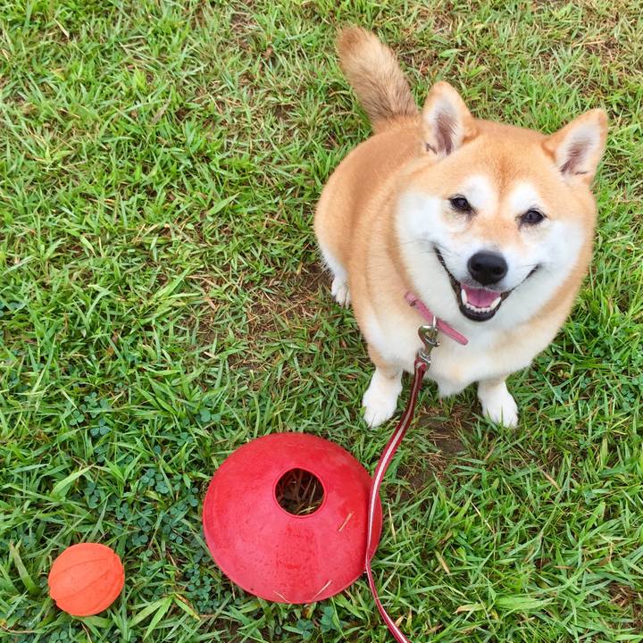 26292537 7e14 46bf 8f67 3f6eec63b7ea 1566284565620