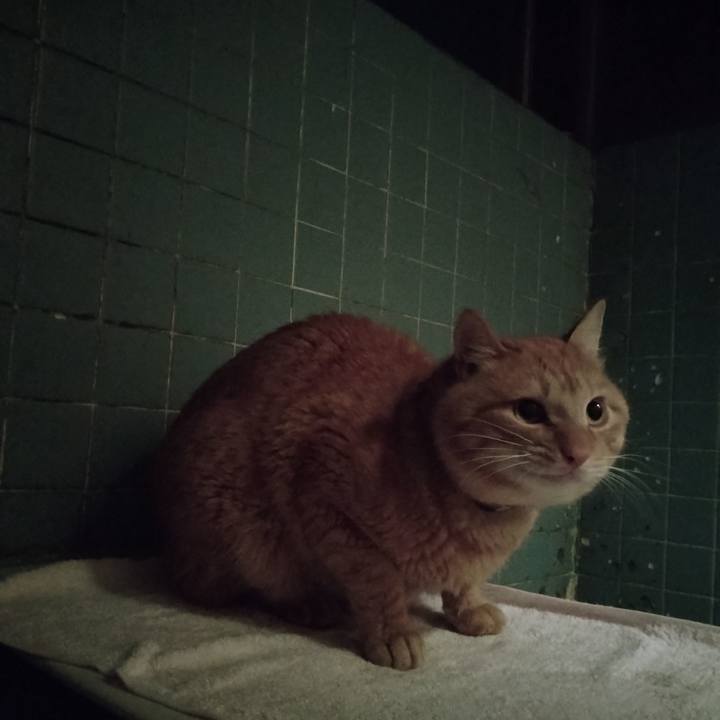 26293c8b 1567 4b5a a0f2 fb0fa522ad78 1673775588699