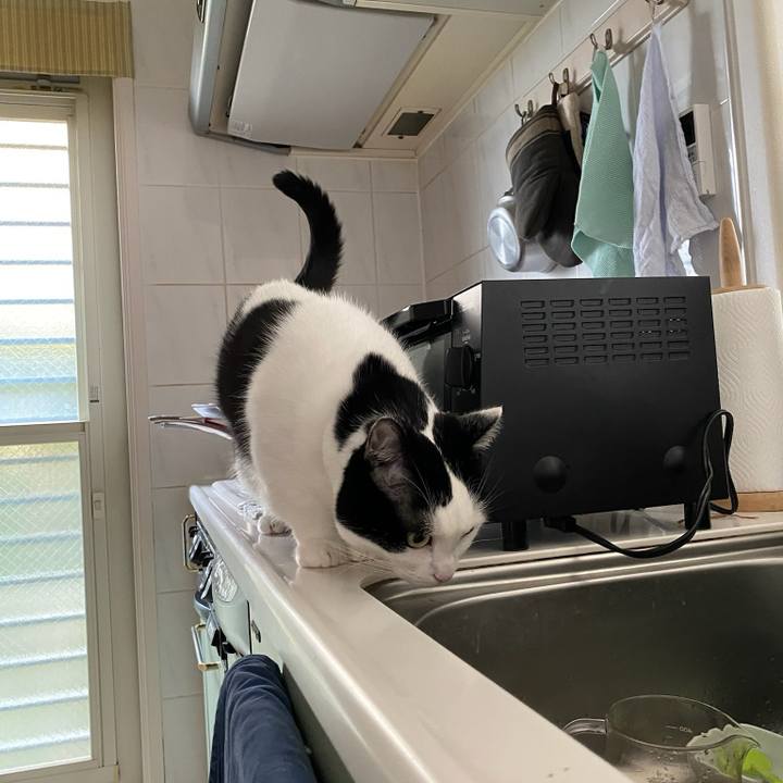 26293cd9 c165 4884 9887 501a647cc7cc 1775776265586