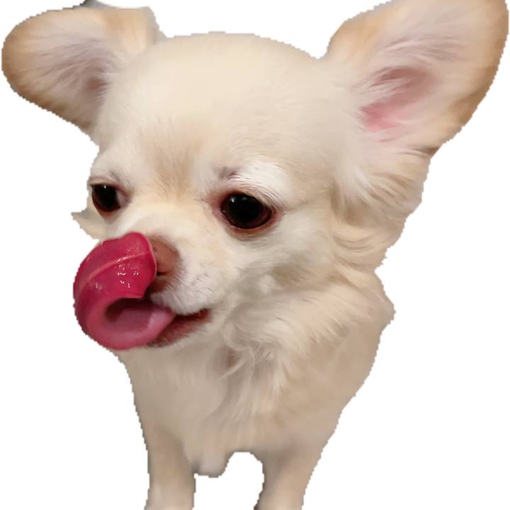 26294597 fe70 40cf be78 55eb10e27c33 1727303359491