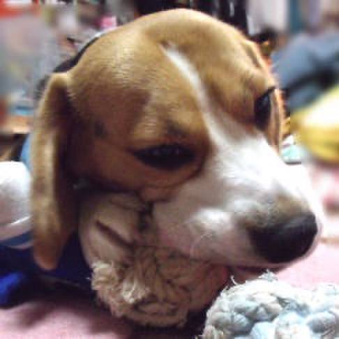 26294fe6 ac08 4632 89ef c950612fd70b 1707865400324