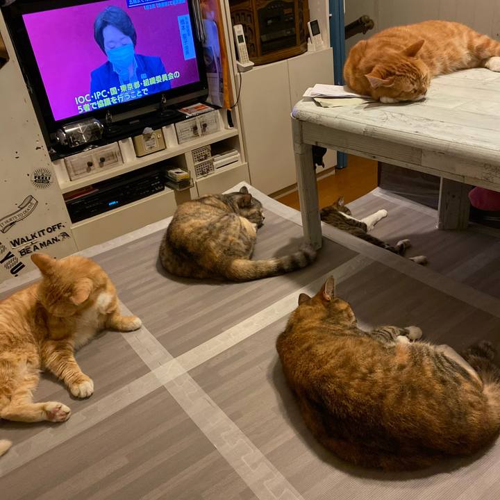 2629a094 5ebd 4d85 b417 f8b8074b93fb 1625749668781