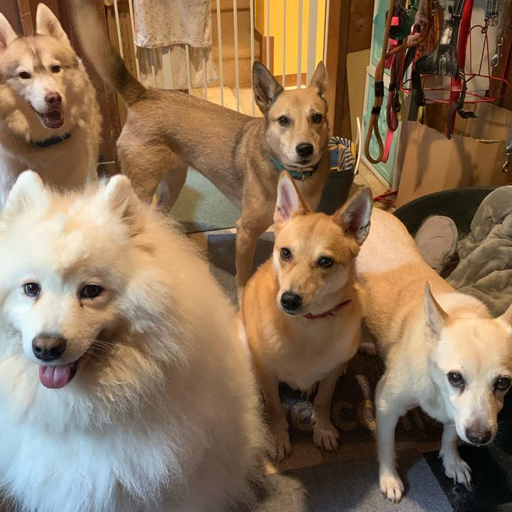 2629d6cf 8b3a 44c0 8054 c882d2c9515f 1660203455700